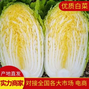 白菜黄心白菜湖北白菜精品白菜新鲜白菜保质保量