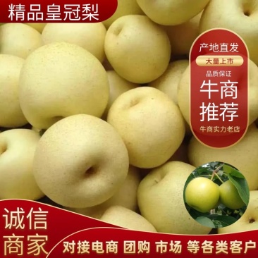 套袋皇冠梨，青皇冠梨，脆甜无渣，全国发货
