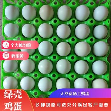 精品【鸡蛋】绿壳鸡蛋品种纯正假一赔十欢迎抢购