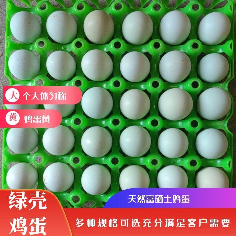 精品【鸡蛋】绿壳鸡蛋品种纯正假一赔十欢迎抢购