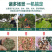 木材粉碎机小区物业杂木削碎机园林果园树枝破碎机