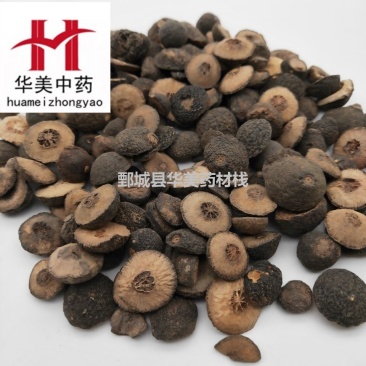 枳实1000克【华美中药】中药材批发现货供应【江西枳实】