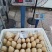 桶装笋冬笋20kg酒店餐饮麻辣烫火锅料餐饮配送厂家直供商