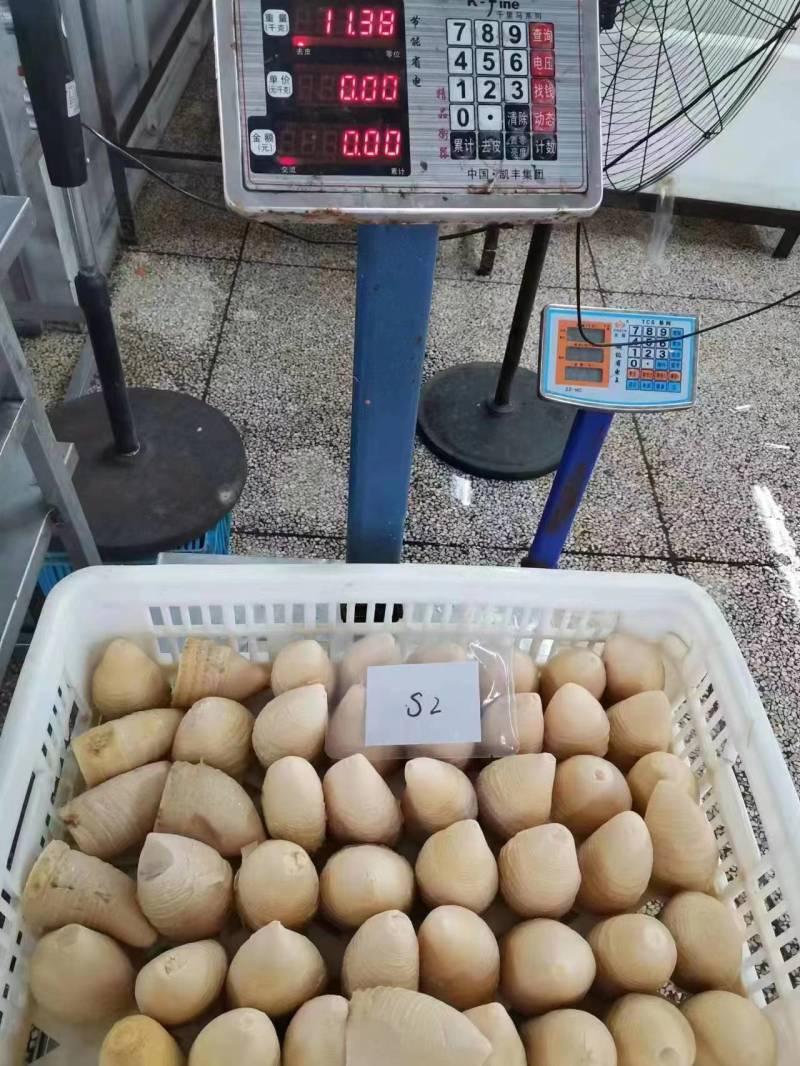 桶装笋冬笋20kg酒店餐饮麻辣烫火锅料餐饮配送厂家直供商