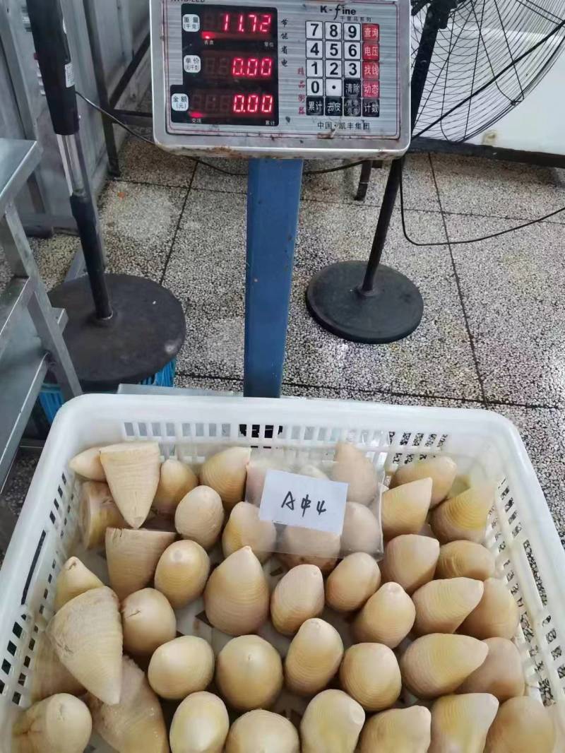 桶装笋冬笋20kg酒店餐饮麻辣烫火锅料餐饮配送厂家直供商