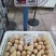 桶装笋冬笋20kg酒店餐饮麻辣烫火锅料餐饮配送厂家直供商