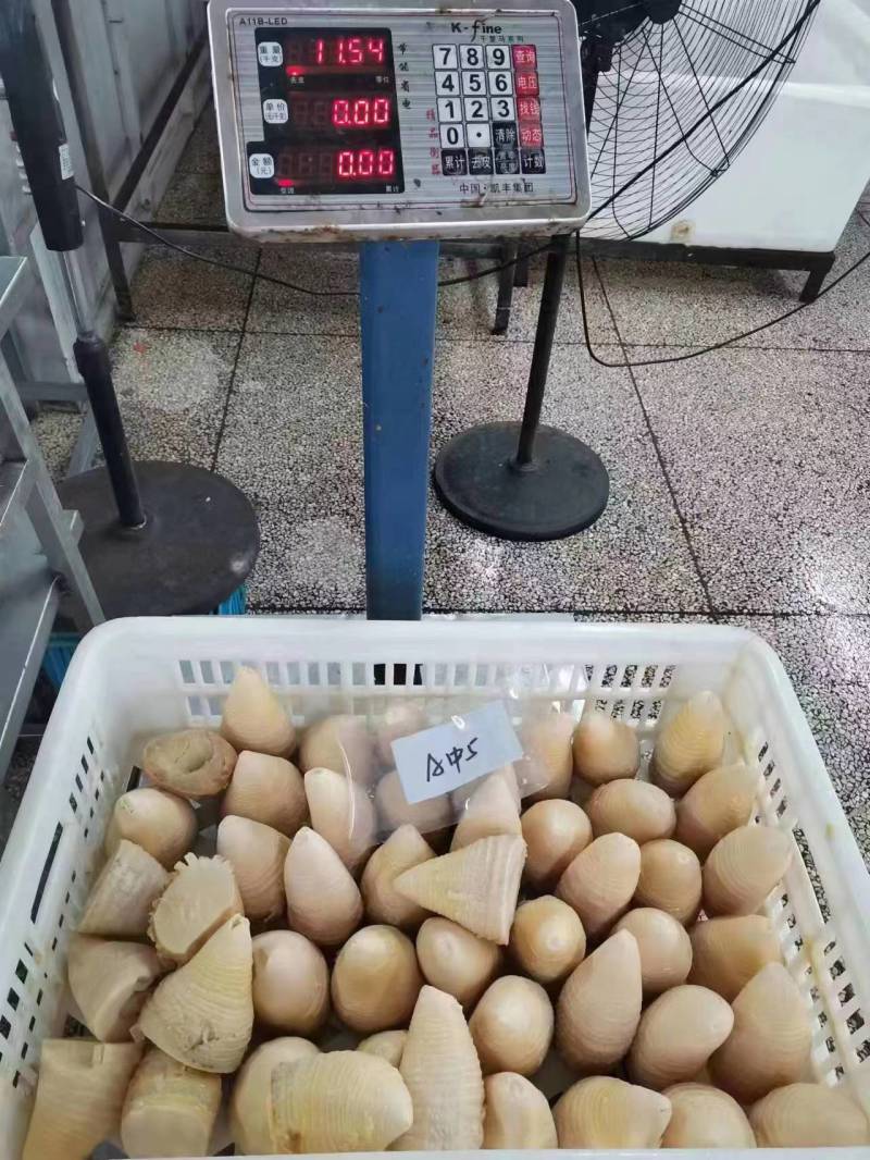 桶装笋冬笋20kg酒店餐饮麻辣烫火锅料餐饮配送厂家直供商