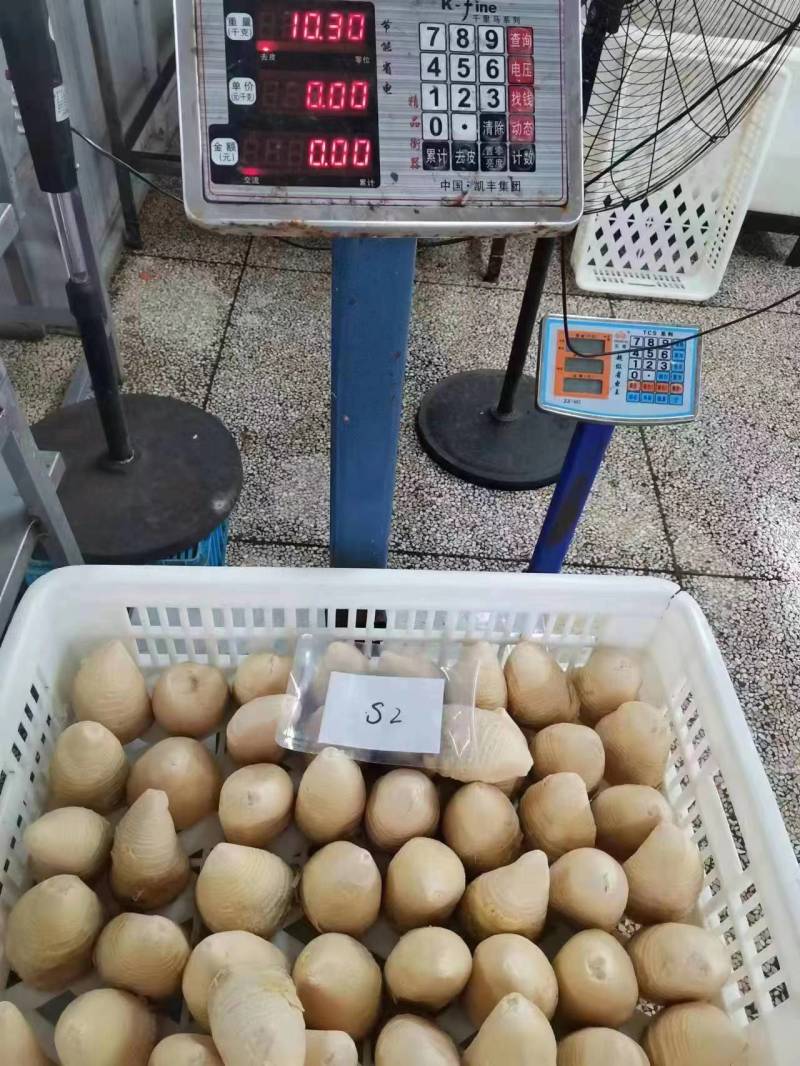 桶装笋冬笋20kg酒店餐饮麻辣烫火锅料餐饮配送厂家直供商