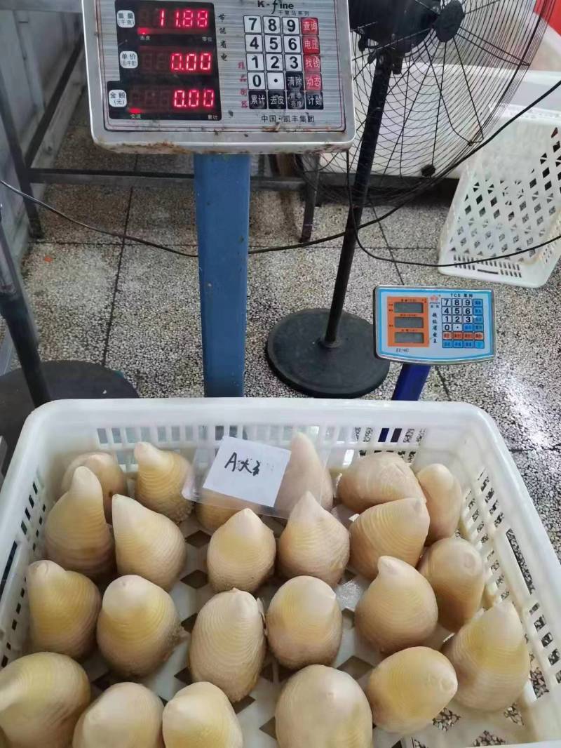 桶装笋冬笋20kg酒店餐饮麻辣烫火锅料餐饮配送厂家直供商