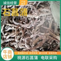 【精选】石菖蒲产地直发价格优惠可视频看货欢迎采购