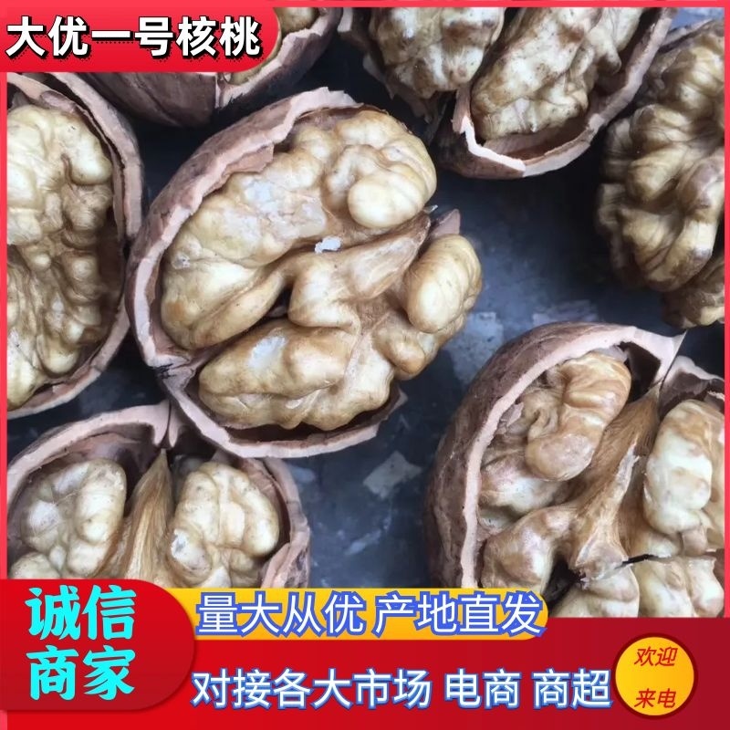 【核桃】大优一号核桃四川核桃产地直发对接各大市场电商