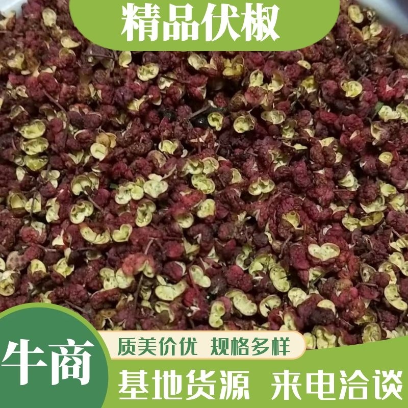 25年甘肃【伏椒】麻香味俱全，色红、粒饱满