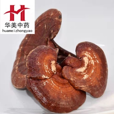 灵芝个1000克【华美中药材】现货批发供应【灵芝个】