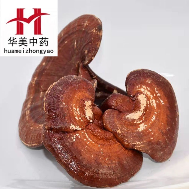 灵芝个1000克【华美中药材】现货批发供应【灵芝个】