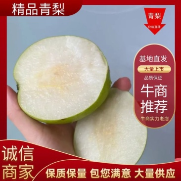 露天苏脆青梨，青梨，蜜梨6两起步，酥脆可口，蜜甜多汁