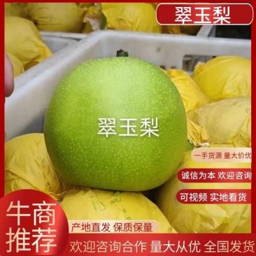 翠玉梨，脆甜无渣，基地自产自销，价格便宜