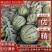 安徽甜王西瓜8斤打底，8成半熟，基地发货，诚信代办