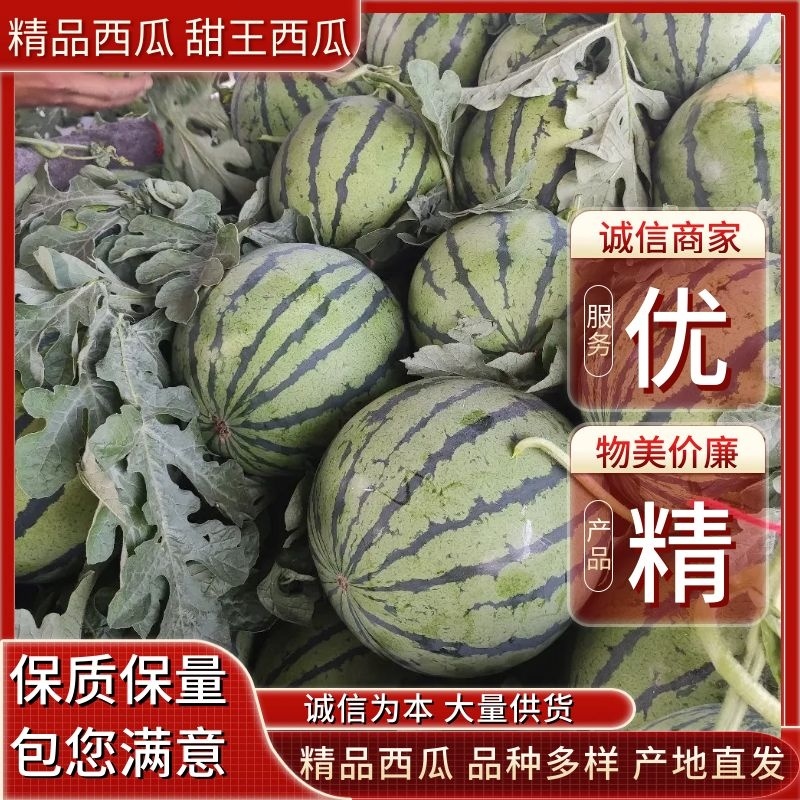 安徽甜王西瓜8斤打底，8成半熟，基地发货，诚信代办