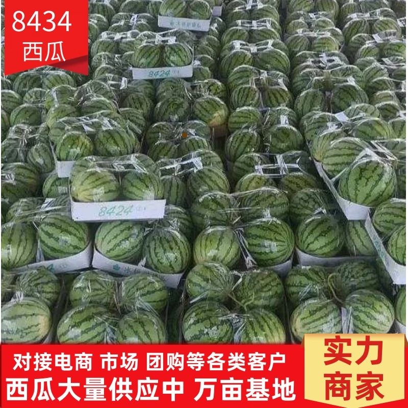 西瓜美都西瓜万亩基地全国发货诚信代办