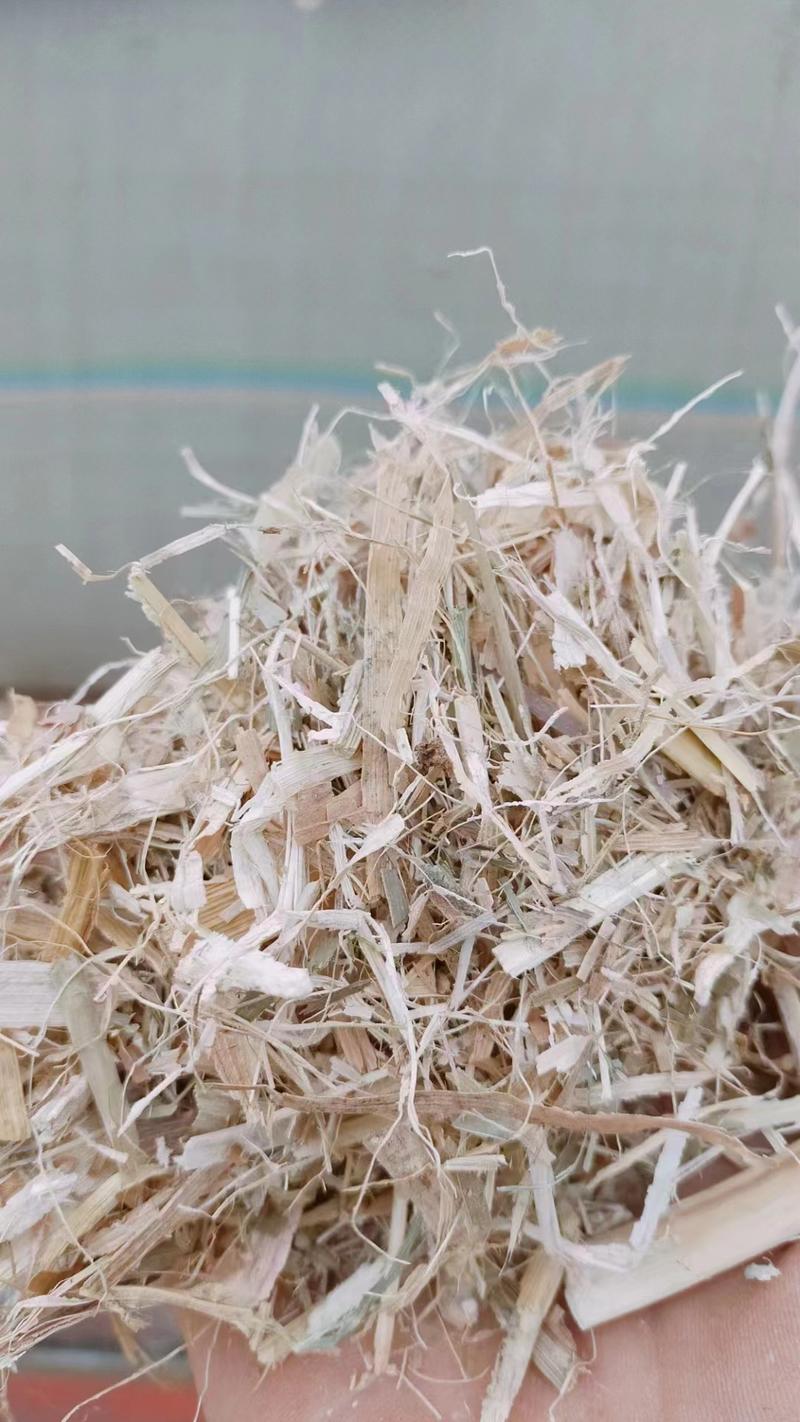 丝玉米秸杆饲料原料规格齐全质量保证，品种纯正
