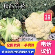 【精】有机精品花菜大量上市支持视频全国发货