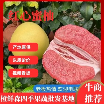 福建红心蜜柚大量上市一手货源品质优良以质论价