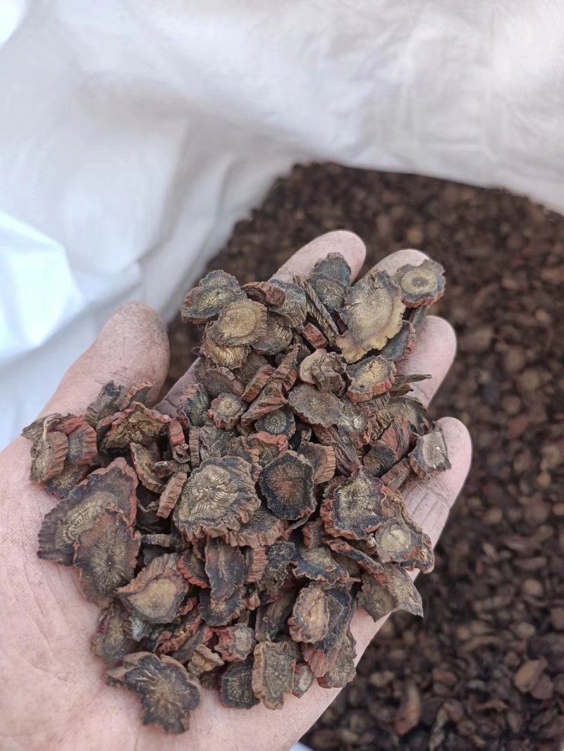 丹参条，紫丹参条，紫丹参片，精品大量供应