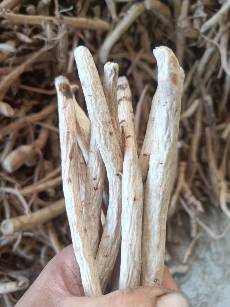 脱皮芍药，精品好货，支持视频看货，多年经营诚信店铺