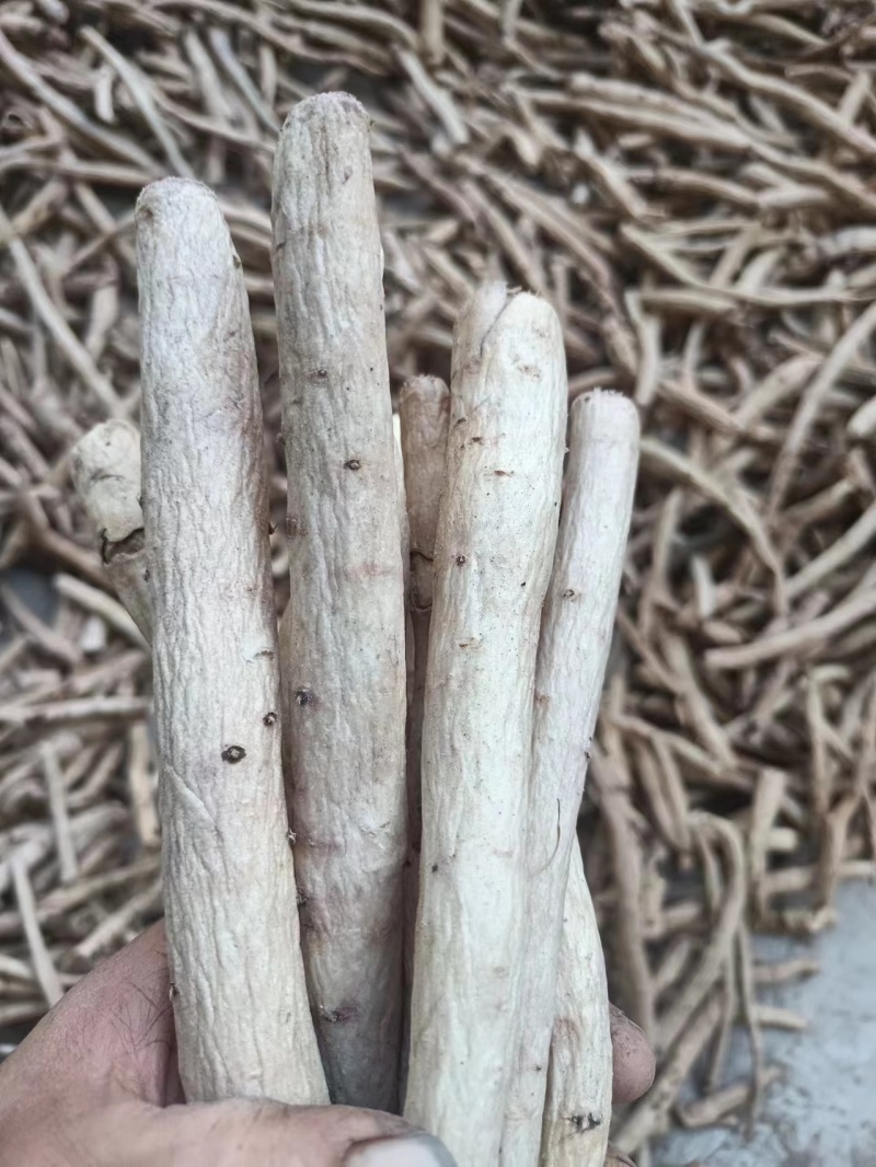 脱皮芍药，精品好货，支持视频看货，多年经营诚信店铺