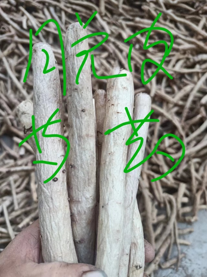 脱皮芍药，精品好货，支持视频看货，多年经营诚信店铺