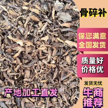 骨碎补产地加工直销质量好够含量，有片干或条干货电联