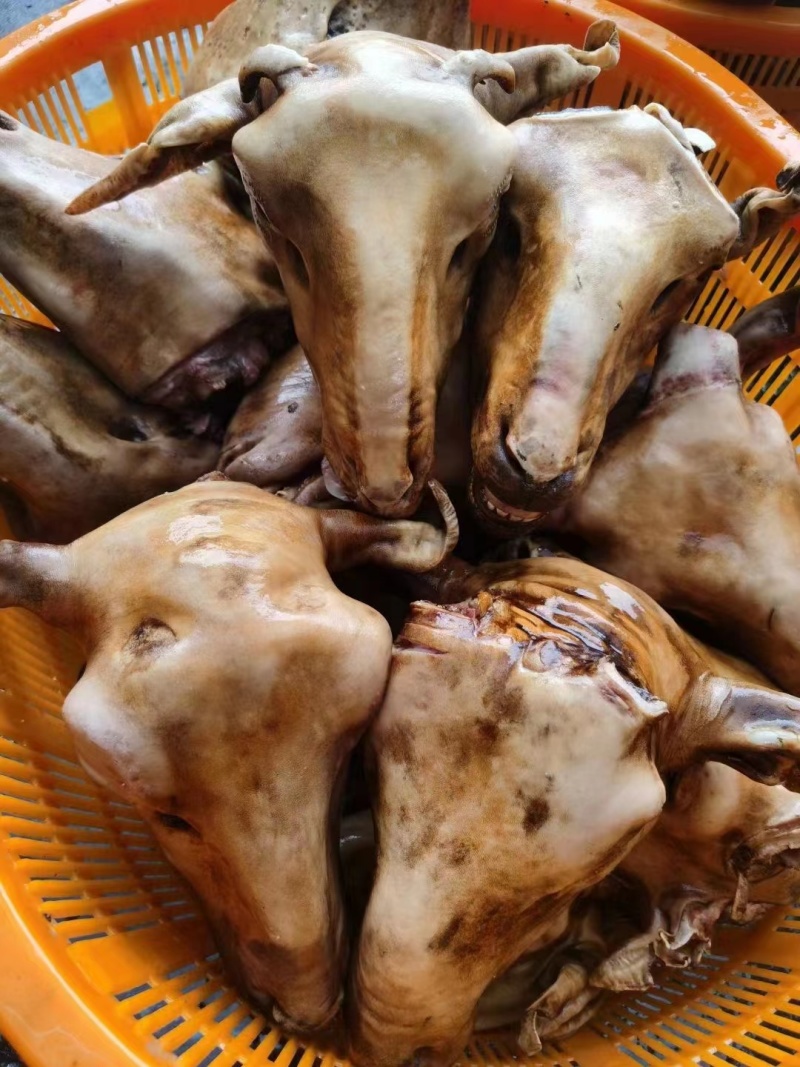 火烧内蒙羔羊羊头肉质紧实品质保障价格优惠全国可发视频看货