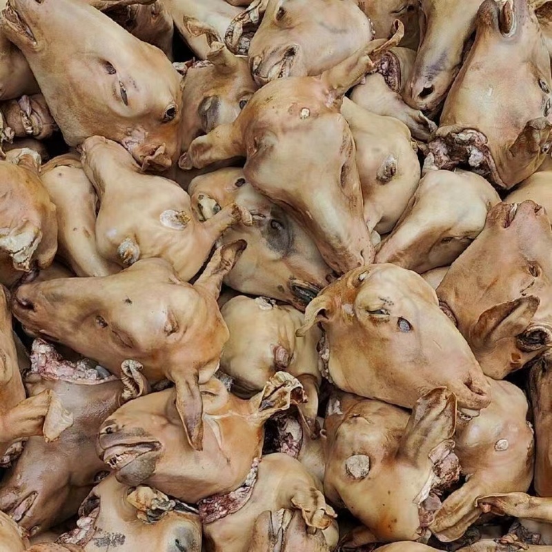 火烧内蒙羔羊羊头肉质紧实品质保障价格优惠全国可发视频看货