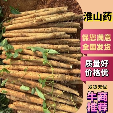 淮山药，对接各大电商平台，批发市场，价格实惠，质量保证
