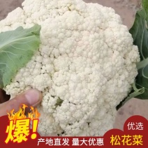 精品有机花菜松花菜大量供应一手货源价格优惠量大从优