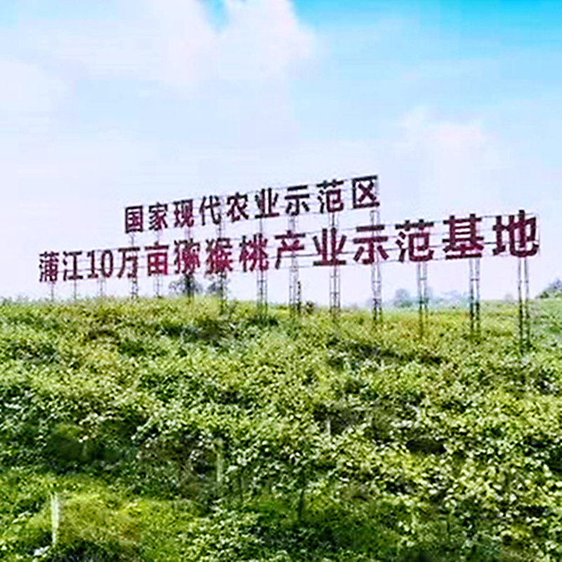 6斤红阳红心猕猴桃精品果礼盒包装产地直发售后无忧