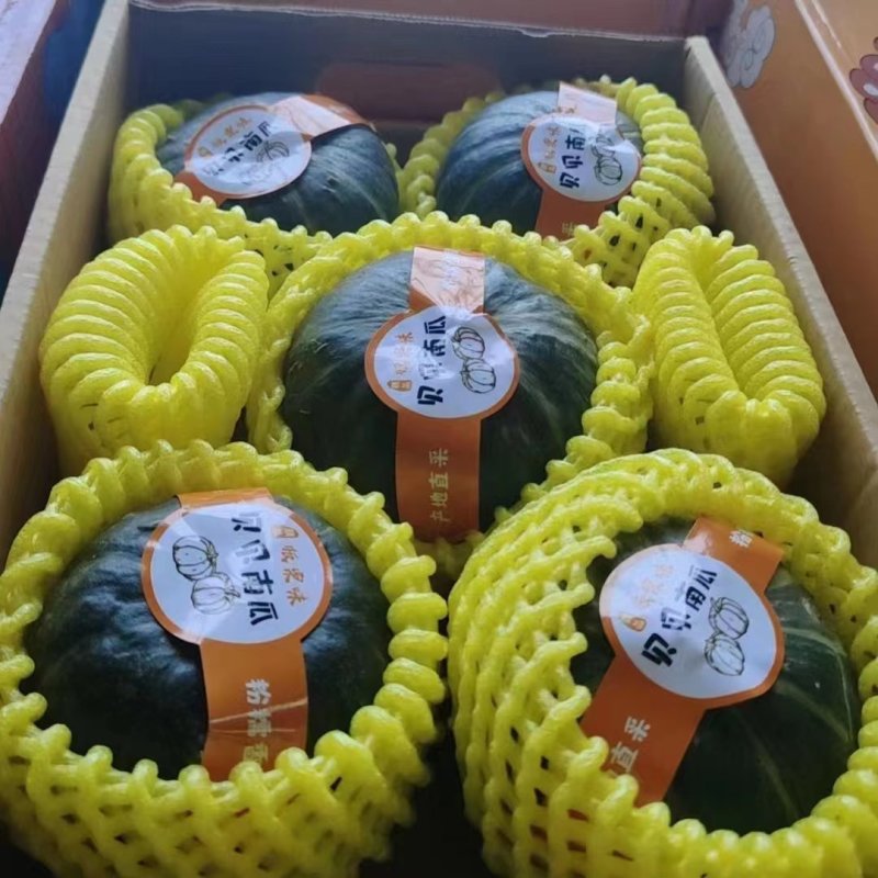 优质贝贝南瓜香甜细腻价格实惠品质保证可视频看货！