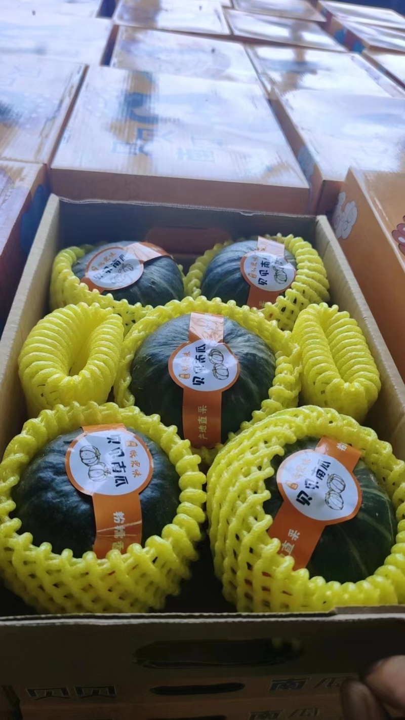 优质贝贝南瓜香甜细腻价格实惠品质保证可视频看货！