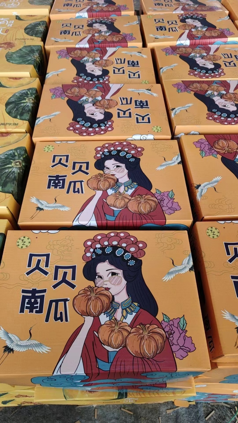 优质贝贝南瓜香甜细腻价格实惠品质保证可视频看货！