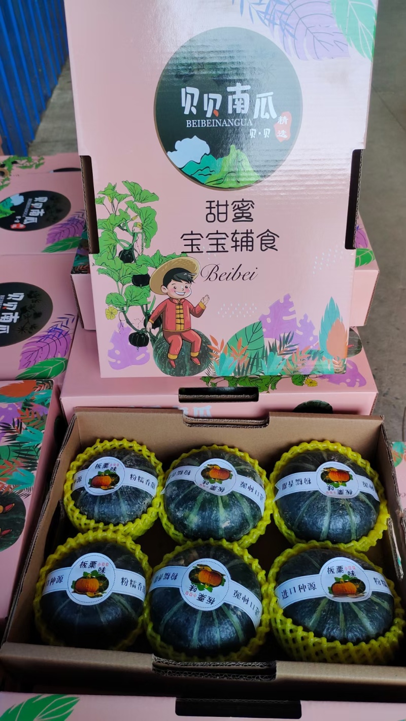 优质贝贝南瓜香甜细腻价格实惠品质保证可视频看货！