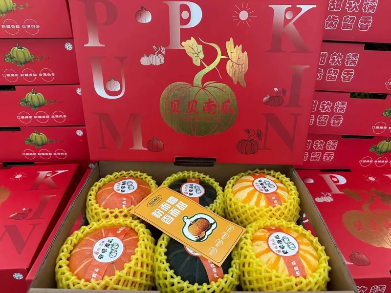 优质贝贝南瓜香甜细腻价格实惠品质保证可视频看货！