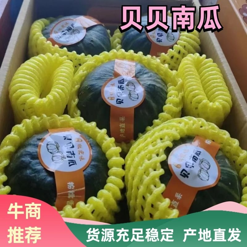 优质贝贝南瓜香甜细腻价格实惠品质保证可视频看货！