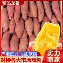 龙九红薯龙薯九号红薯电商团购市场批发餐饮工厂现货