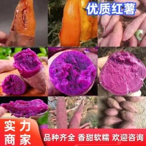 紫薯湖北紫薯紫罗兰紫薯粉糯香甜产地直供大量现货