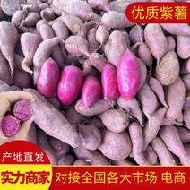 湖北红薯龙薯紫薯西瓜红品种齐全一手货源