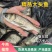 产地直销精品大头鱼苗鳙鱼，鲢鱼，花鲢鱼苗，花白鲢鱼苗