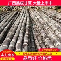 【精品】广西崇左甘蔗，黑皮甘蔗脆甜可口，品质优良，产地直发