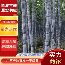 【精品】广西玉林甘蔗，黑皮甘蔗脆甜可口，大量供应