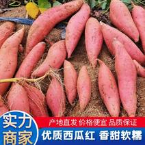 【红薯】湛江西瓜红软糯香甜现挖现发品种齐全欢迎咨