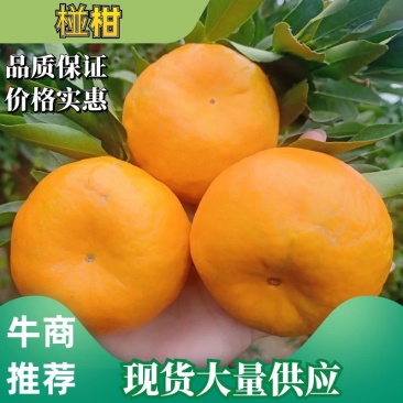 椪柑芦柑，产地直发质优价廉，承接电商超市社区团购